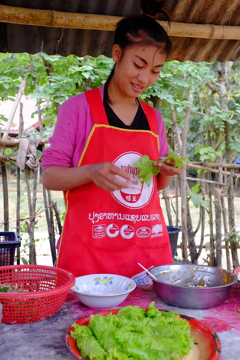 Północny Laos 2016 - Zdjęcie 87 z 157